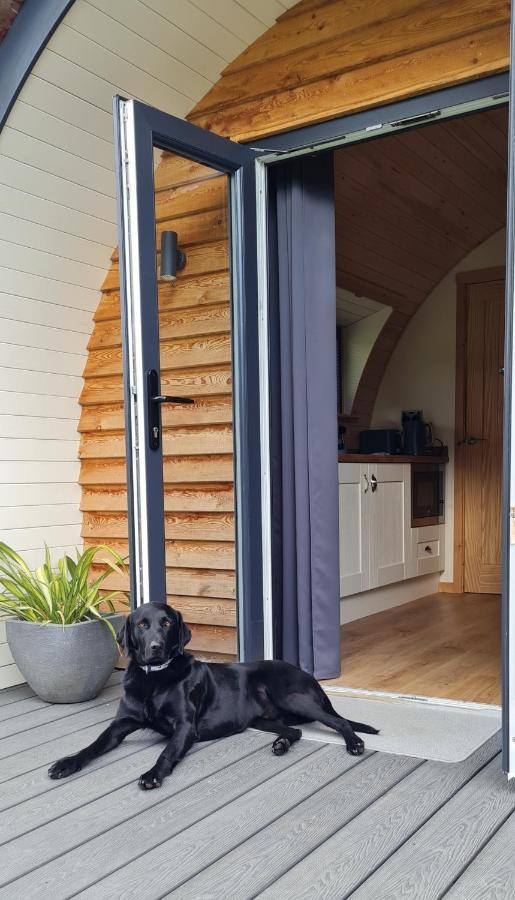 Hotel Habberley Glamping Pods Shrewsbury Exteriér fotografie